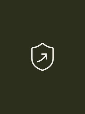 Wealth Advisors