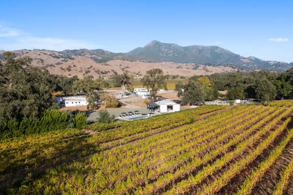 Ross Ranch and Vineyards - Image 5